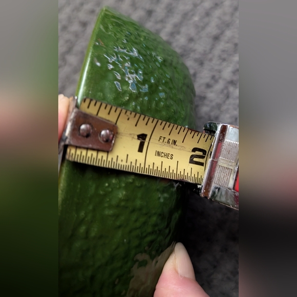 Grow Your Own Avocado 🥑 Tree - Picture 9 of 9